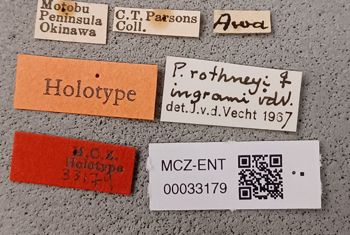 Media type: image;   Entomology 33179 Aspect: labels